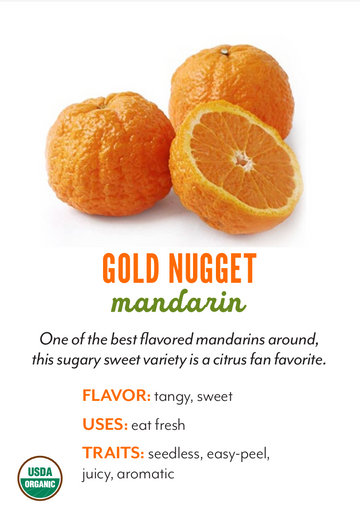 Organic Gold Nugget Mandarins - EACH