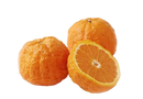 Organic Gold Nugget Mandarins - EACH-1