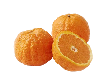 Organic Gold Nugget Mandarins - EACH