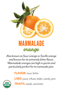 Organic Sour Marmalade Orange - EACH-1