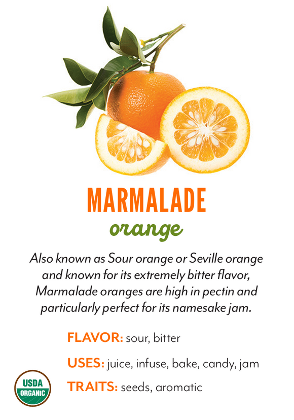 Organic Sour Marmalade Orange - EACH