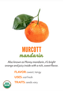 Organic Murcott Mandarins - PINT-1