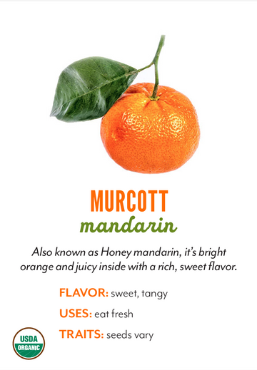 Organic Murcott Mandarins - PINT