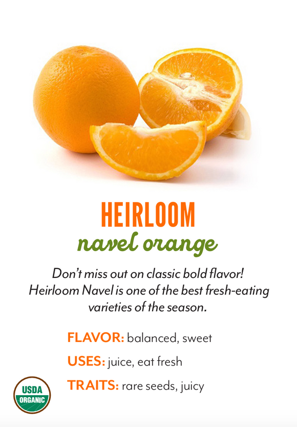 Organic Heirloom Navel Orange - EACH