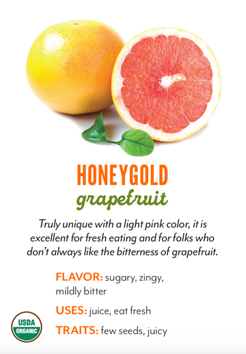 Organic Honeygold Grapefruit - EACH