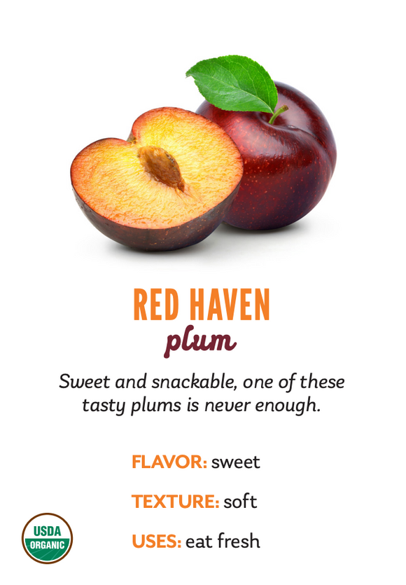 Organic Red Haven Plums - PINT
