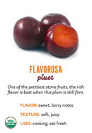 Organic Flavorosa Pluots - PINT-1