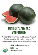 Organic Mini Midnight Watermelon - EACH-1