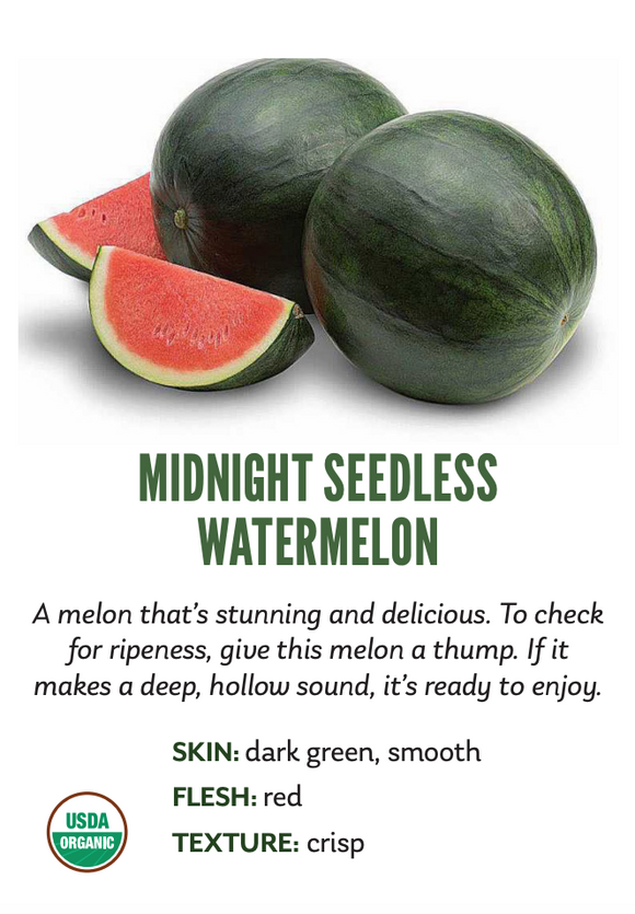 Organic Mini Midnight Watermelon - EACH
