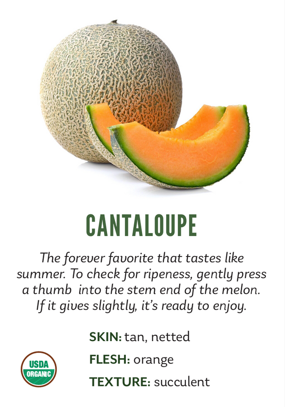 Organic Cantaloupe Melon - EACH