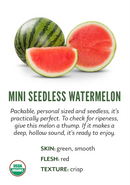 Organic Mini Watermelon - EACH-1