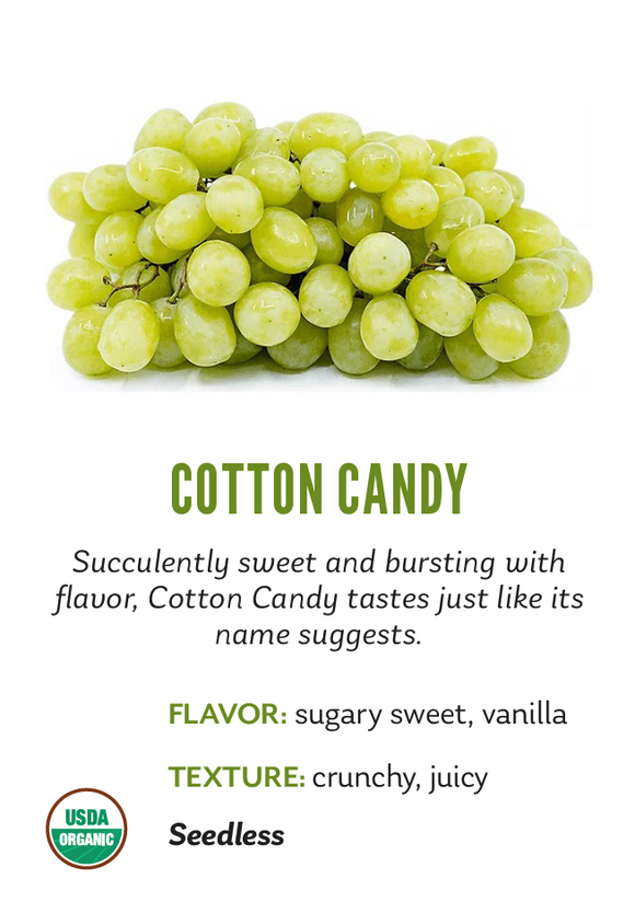 Organic Cotton Candy Grapes - PINT