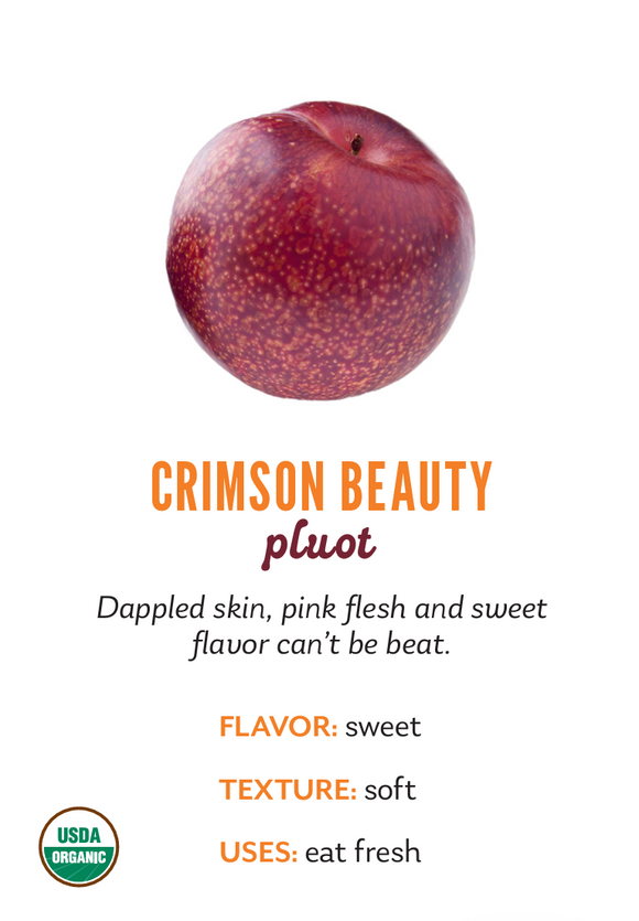 Organic Crimson Beauty Pluot - PINT