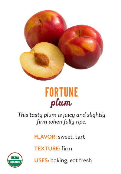 Organic Fortune Plums - PINT
