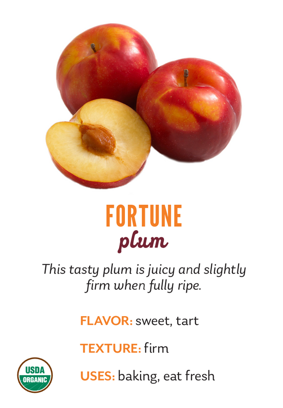 Organic Fortune Plums - PINT