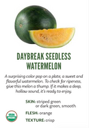 Organic Orange Daybreak Watermelon- EACH-1