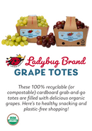 Organic Sugraone Grapes - 2 LB BIN-3