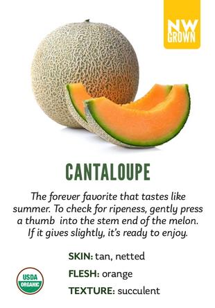 Organic Cantaloupe Melon - EACH