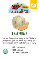 Organic Charentais Dry Farm Melon - EACH-1