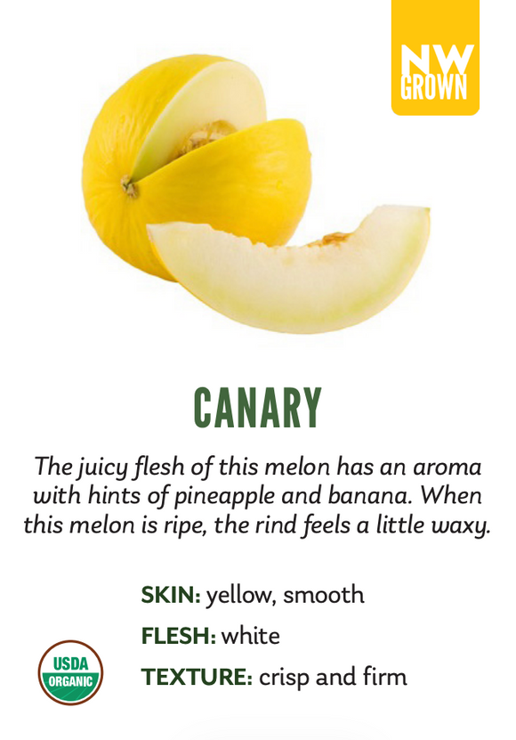 Organic Canary Melon - EACH