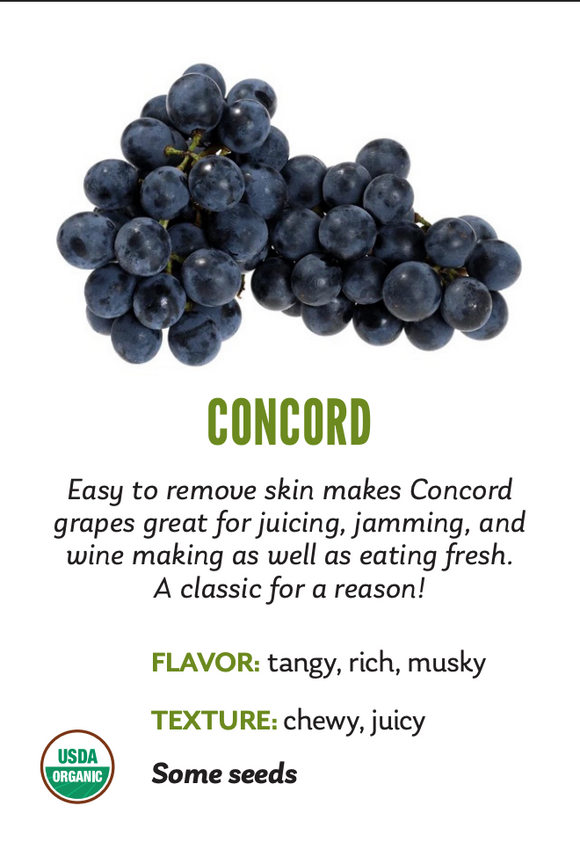 Organic Concord Grapes - BIN