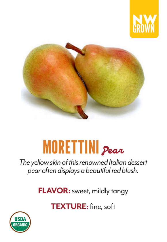 Organic Morettini Pear - EACH