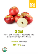 Organic Zestar Apple - EACH-2