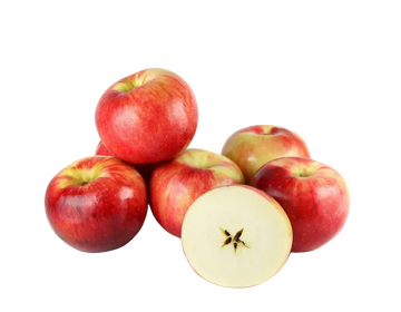 Organic Zestar Apple - EACH