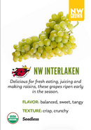 Organic Interlaken Grapes - 1.5 LB BIN-1