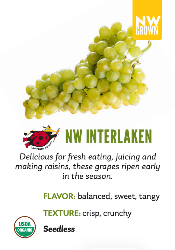 Organic Interlaken Grapes - 1.5 LB BIN