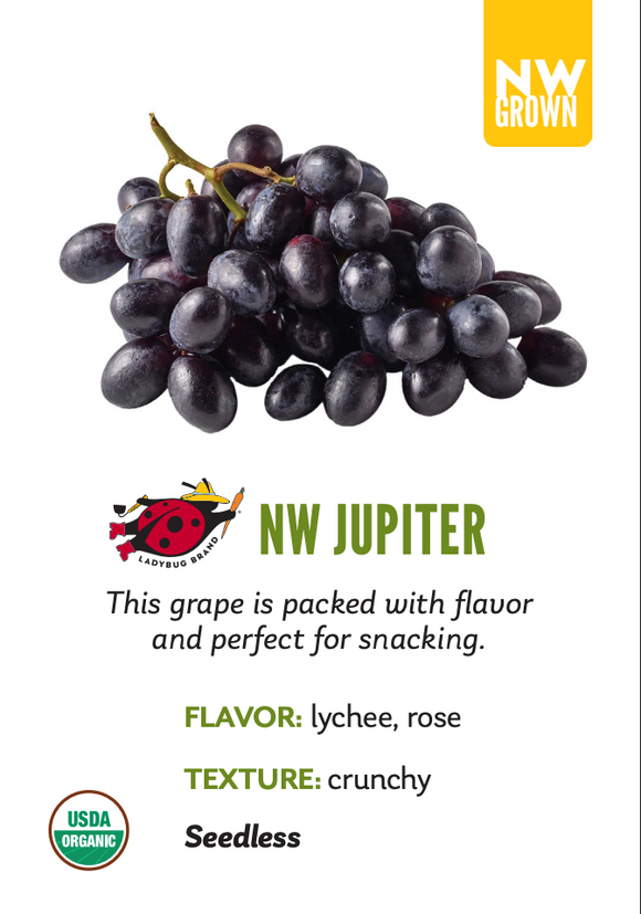 Organic Jupiter Grapes - TOTE
