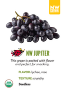 Organic Jupiter Grapes - TOTE-1