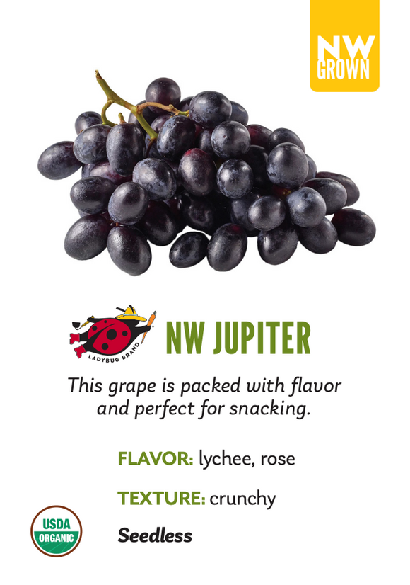 Organic Jupiter Grapes - TOTE