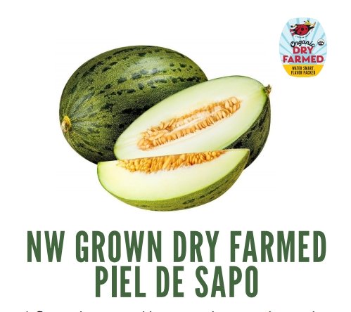 Organic Piel De Sapo Melon - EACH