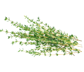 Organic Thyme - BUNCH