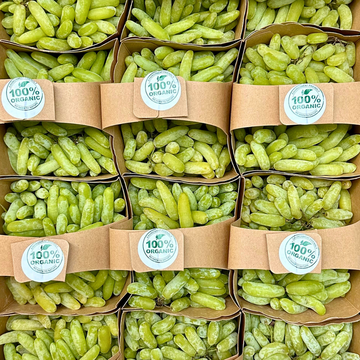 Organic Quip Finger Grapes - 1.5 LB BIN