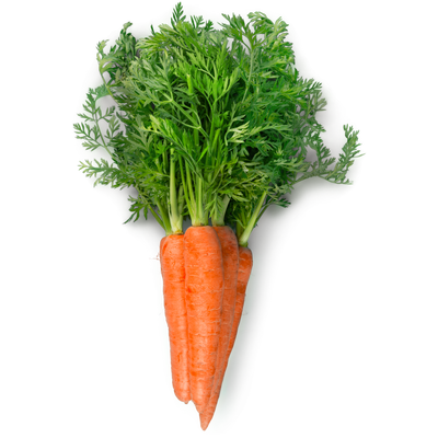 Organic Nantes Carrots - BUNCH