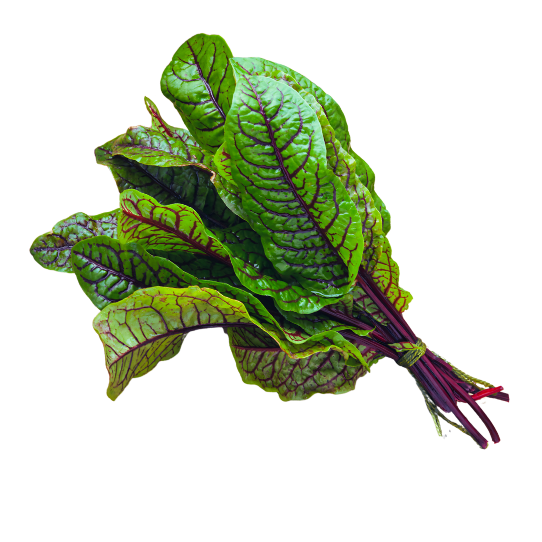 Organic Red Sorrel - BUNCH