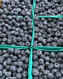 Organic Blueberries - PINT-2