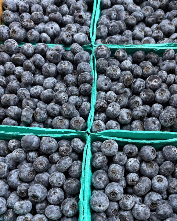 Organic Blueberries - PINT