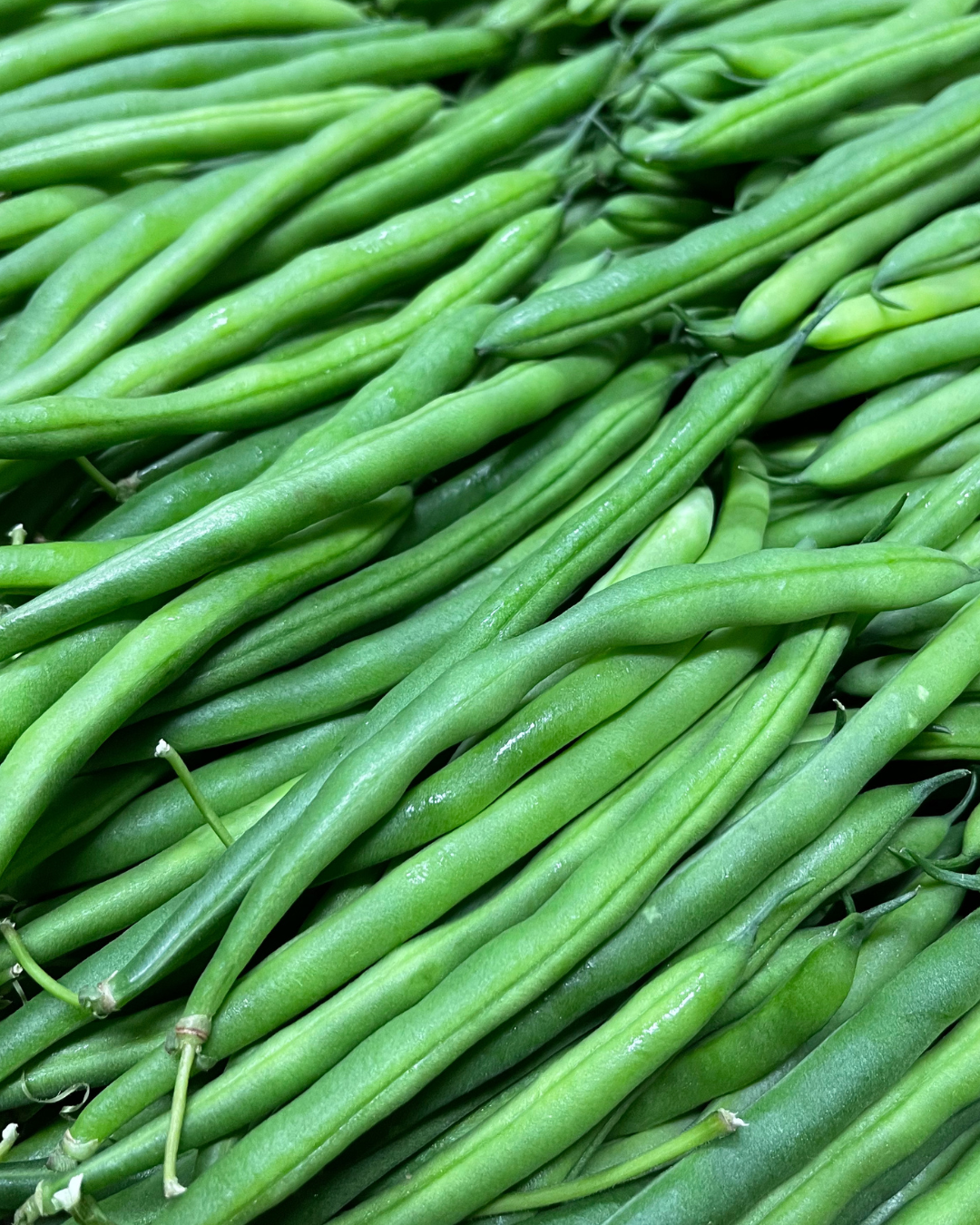 WEEKLY PRODUCE REPORT
