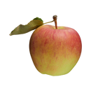 Organic Ambrosia Apple - EACH-1