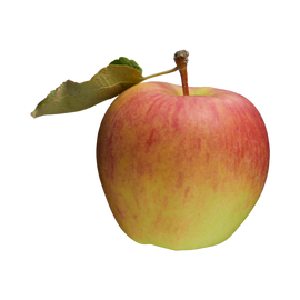 Organic Ambrosia Apple - EACH