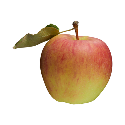 Organic Pazazz Apple - EACH