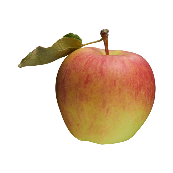 Organic Ambrosia Apple - EACH