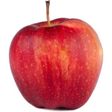 Organic Lady Alice Apple - EACH