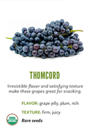 Organic Thomcord Grapes -  1.5 LB TOTE-1