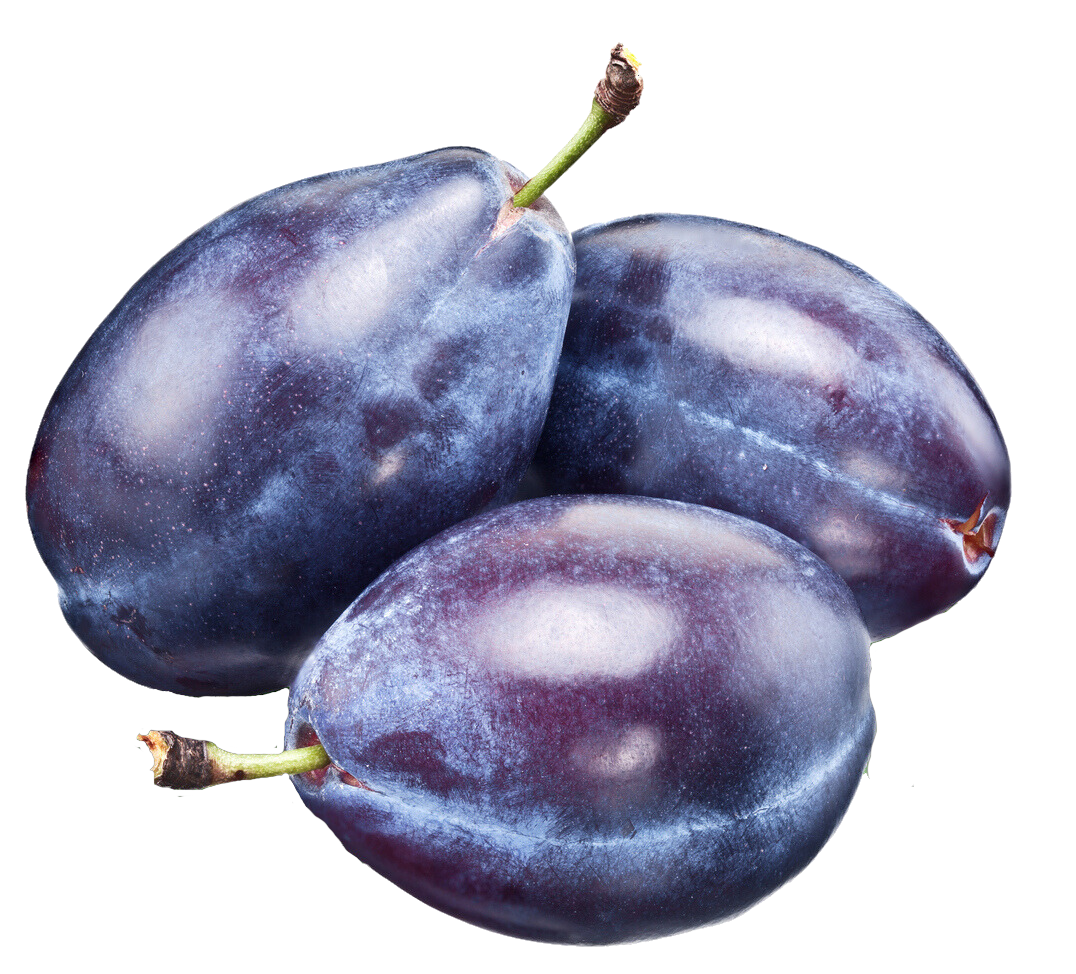 Organic Italian Prune Plums - PER LB