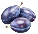 Organic Sugar Plum Prune Plums - PINT-2