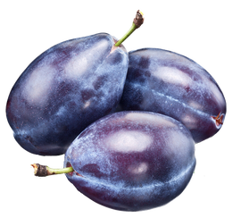 Organic Italian Prune Plums - PINT